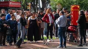 temblor sismo alerta movimiento telúrico