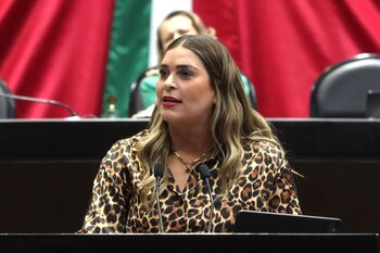 La diputada Ana Isabel González
