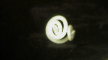 El estudio de un anisaki