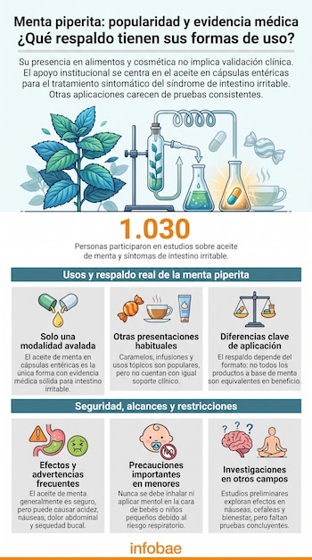 Infografía sobre menta piperita que muestra una planta, equipo de laboratorio, cápsulas, caramelos, taza, envase, iconos de estómago, bebé, cerebro.