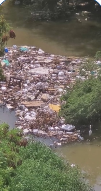 Una isla de basura de grandes proporciones amenaza con llegar a la desembocadura del río Gaira en Santa Marta.