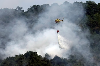 Efectivos de emergencias trabajan en la extinción de un incendio forestal en Makirriain, en Ezcabarte (Navarra). (Jesús Diges/EFE)