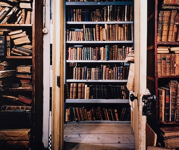 Los expertos coinciden en que