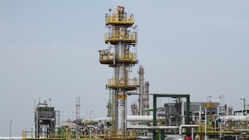 ASF adelantó que presentarán denuncias