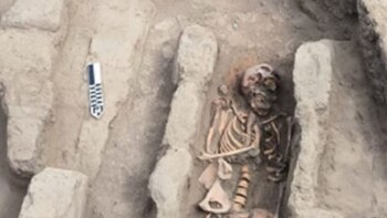 Los investigadores de San Marcos