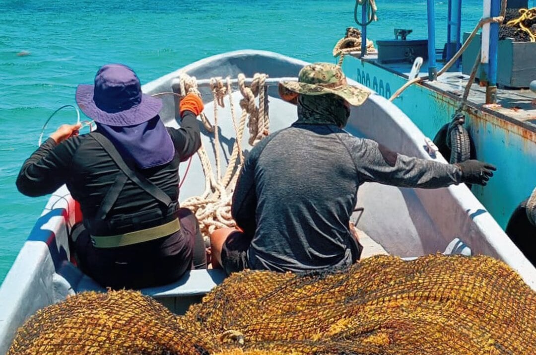 La Secretaría de Marina retira más de 28 mil toneladas de sargazo del Caribe Mexicano durante la temporada 2026. Crédito: X/@SEMAR_mx