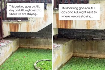 Lo que parecía una situación