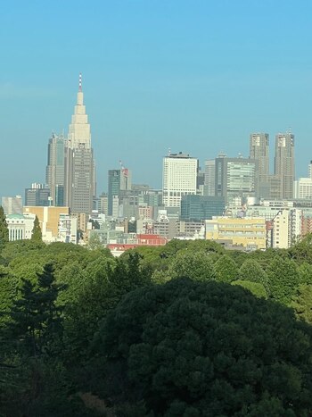 El área metropolitana de Tokio