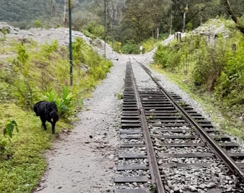 Participaron el Comité Técnico de