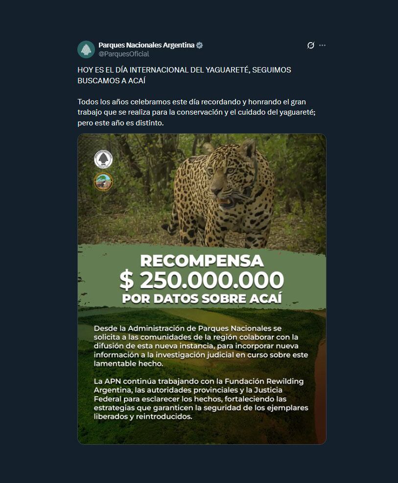 El comunicado de Parques Nacionales con la recompensa ofrecida por datos sobre la yaguareté