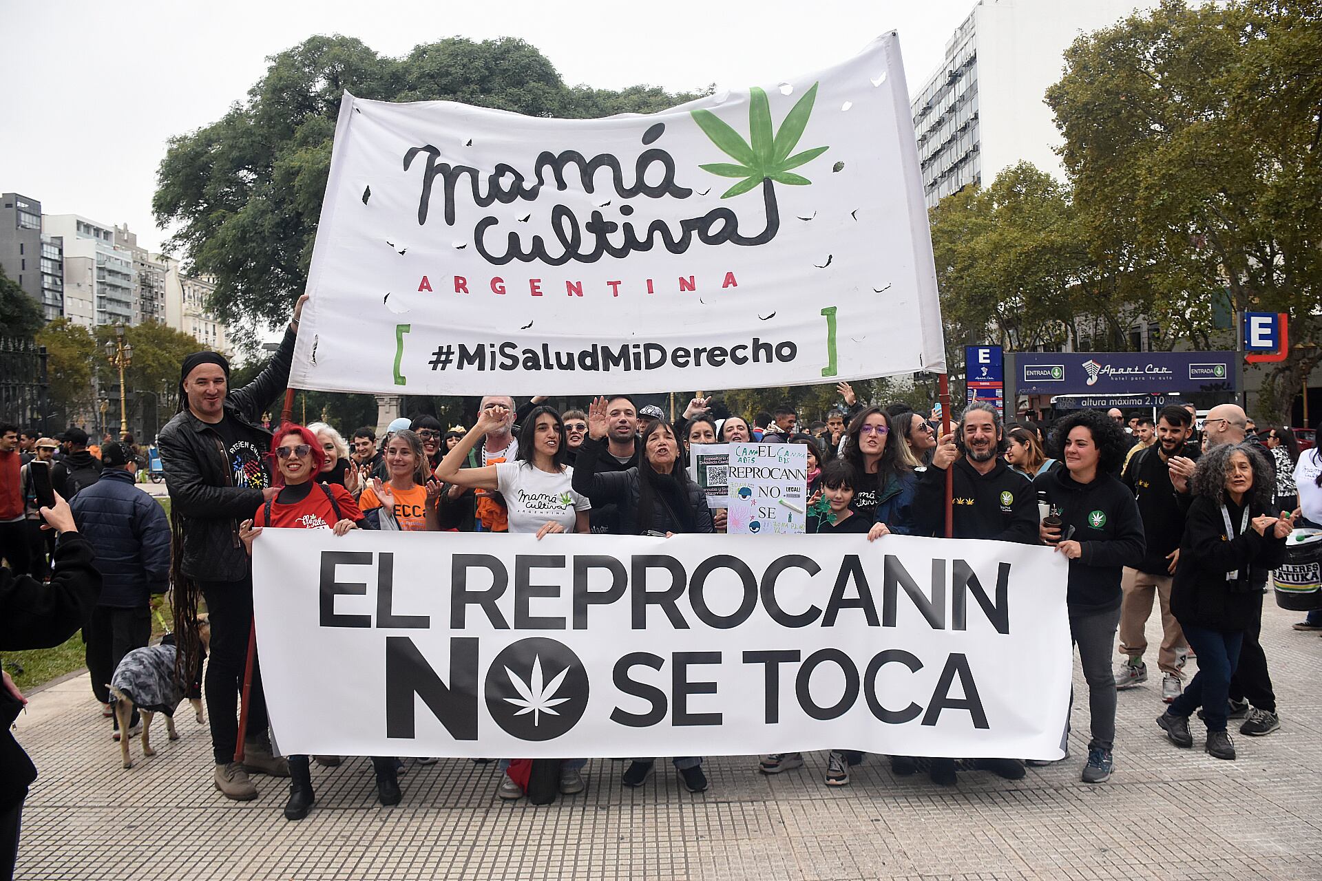 Hay cerca de 1.400 ONGs autorizadas para cultivar de manera solidaria a pacientes. Foto: Nicolas Stulberg