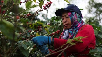 Colombia está a un paso