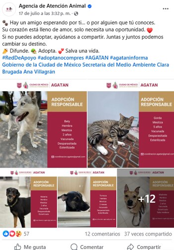 AGATAN comparte los animales en