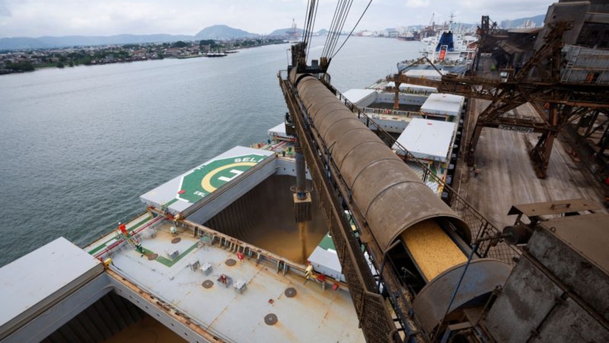 Exportadores se apuran a registrar ventas al exterior a días del fin de la rebaja temporal de retenciones a las exportaciones - Infobae