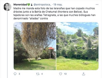 (Twitter: @antropoloca_)