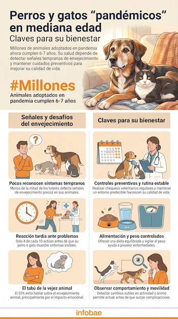 Infografía con ilustraciones de perros y gatos, personas interactuando con ellos, veterinarios, calendarios, alimentos y básculas, explicando el bienestar animal en mediana edad.