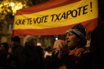 Una manifestante con la bandera