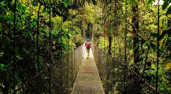 soluciones - Red Accion - 27 de SEPTIEMBRE