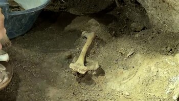 Uno de los descubrimientos hecho