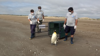 Tras más de seis meses