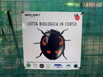 Parque en Roma. EFE/Toni Conde