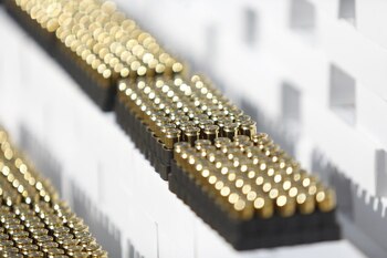 El gobierno planea entregar un