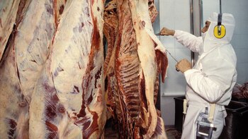 Para Jacobo, “se come carne