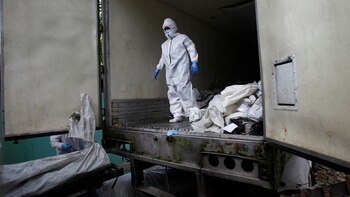 La trama detrás de la