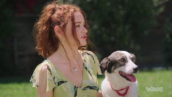 Joey King, con el cabello recogido y vestido verde, permanece en un jardín junto a un perro blanco y castaño que lleva un collar rojo