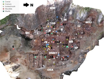 Mapa tridimensional de un yacimiento arqueológico con marcadores de colores para piezas craneales, dientes y mandíbulas