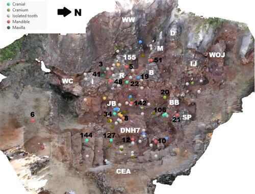 Arqueólogos de la Universidad La Trobe describieron 18 nuevos fósiles de homininos hallados en la cantera de Drimolen, en Sudáfrica (Gentileza, estudio