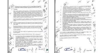 Este es el cuestionado protocolo