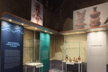 El MRPM contará con cinco