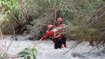 Hallan el cuerpo de la