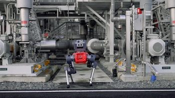 Perro robot