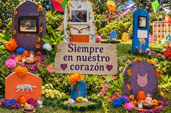 Lápidas de colores con fotos de animales, flores, velas, pan de muerto y un cartel con el texto Siempre en nuestro corazón sobre el césped.