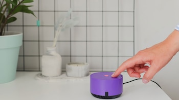 Ali Smith, entrenador de