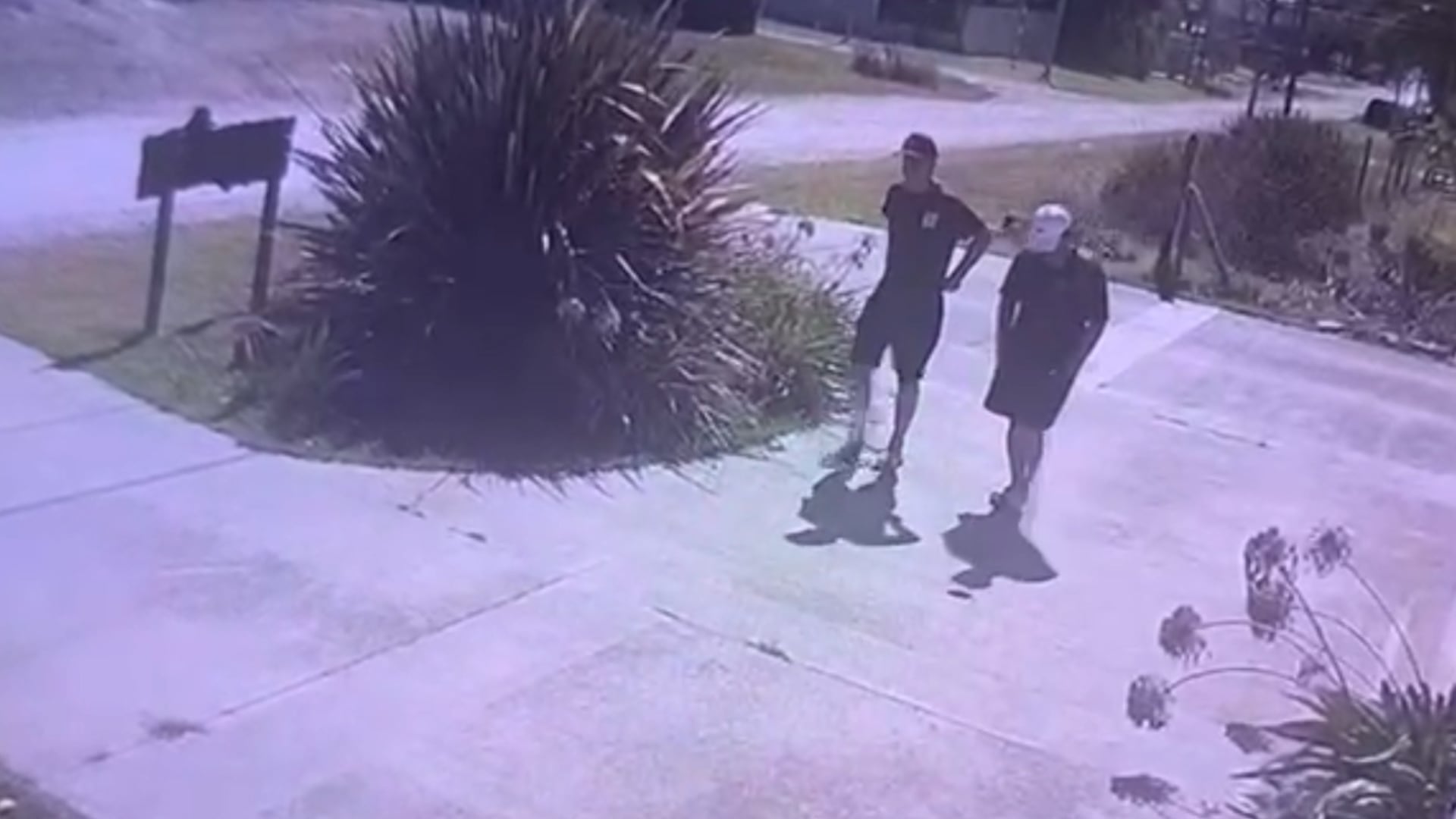 El momento en que los asaltantes huyeron del lugar tras ser ahuyentados por los perros de la cuadra.