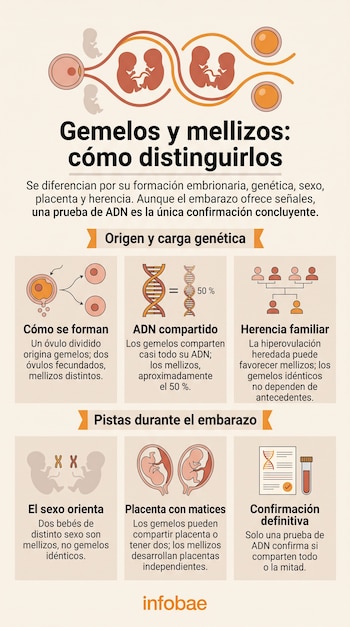 Infografía vertical con esquemas de división celular, cadenas genéticas, árboles genealógicos, fetos en el útero y un tubo de ensayo.