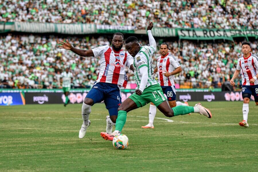 Atlético Nacional le quiere volver a ganar al Junior de Barranquilla-crédito David Gracia / Colprensa