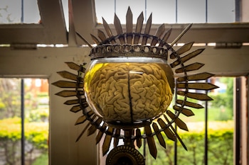 Museo del Cerebro