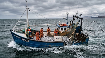 Cuatro pescadores con trajes naranjas manipulan una red llena de peces en la cubierta de un barco azul rodeado por gaviotas sobre un mar picado.