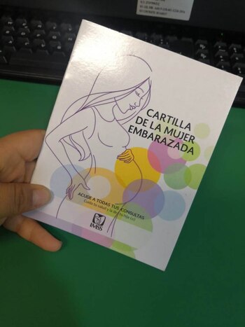 Cartilla de la mujer embarazada