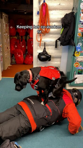 El entrenamiento constante y la