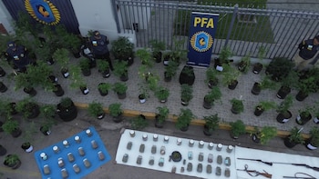 “Estudiantes de la Planta”: cayó una peligrosa banda armada que cultivaba marihuana en terrenos universitarios