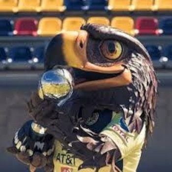 Celeste, el águila real hembra