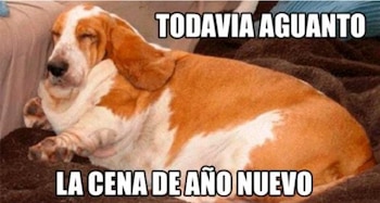 Memes, año nuevo