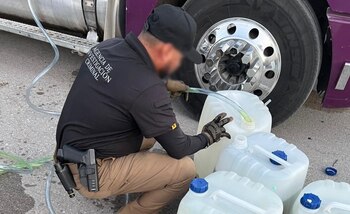 En las acciones participaron diversas