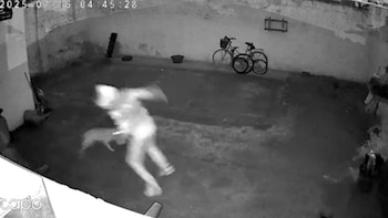 Dos perras frustraron un robo