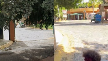 Comparación de imágenes de Google